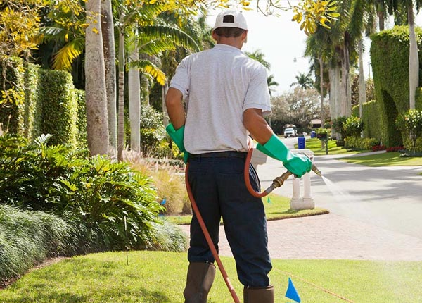 About Fort Thomas AZ Pest Control